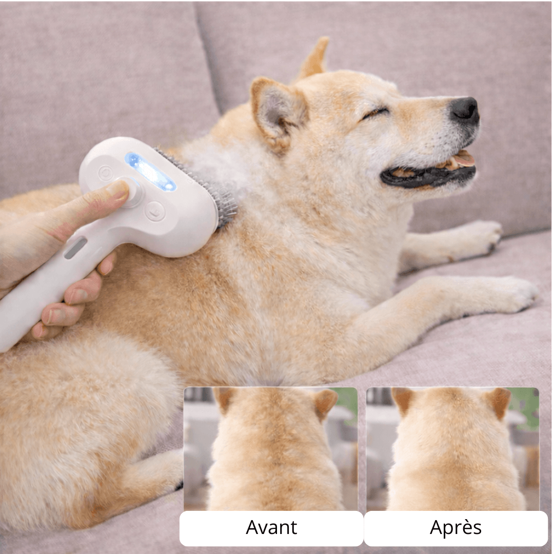 Brosse Bien-Être 3-en-1